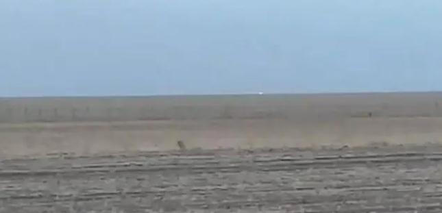 中蒙邊境線明火已被撲滅，為什么蒙古那么容易發生草原火災？