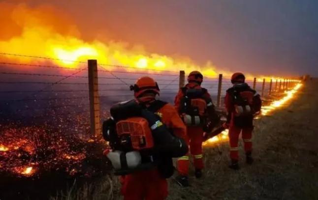 中蒙邊境線明火已被撲滅，為什么蒙古那么容易發生草原火災？