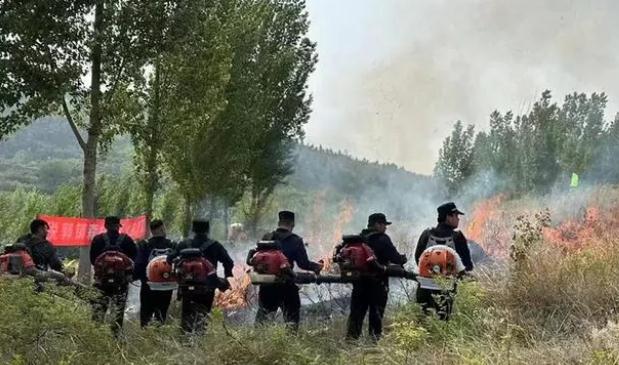 市中區稅郭鎮|&ldquo;四大舉措&rdquo;打出一套森林防火&ldquo;組合拳&rdquo;